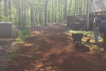 Clearing
