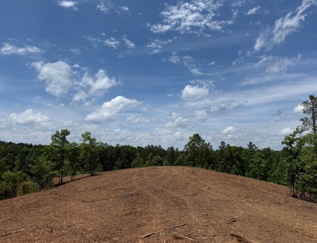 Cleared Trail through Wooded Area