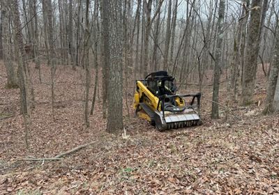 Forestry mulching