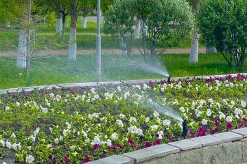 Bardin Outdoors Landscape Services