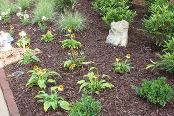 Bardin Outdoors Landscape Services