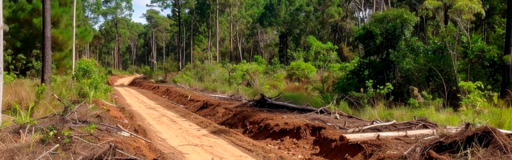 Learn how forestry mulching helps create trails on large North Georgia properties while minimizing soil disturbance and preserving natural surroundings.