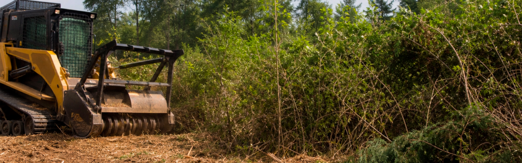 Learn what types of vegetation forestry mulching can clear, including brush, saplings, vines, undergrowth, and overgrown pasture areas in North Georgia.