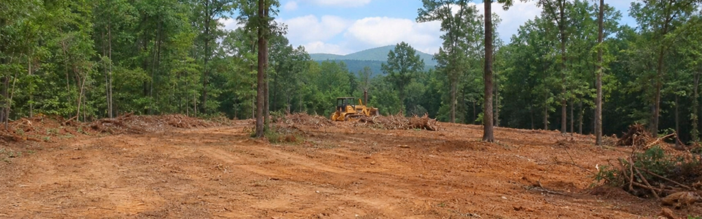 Learn what to consider before clearing a wooded lot in North Georgia, including drainage, grading, debris removal, equipment access, and site preparation.