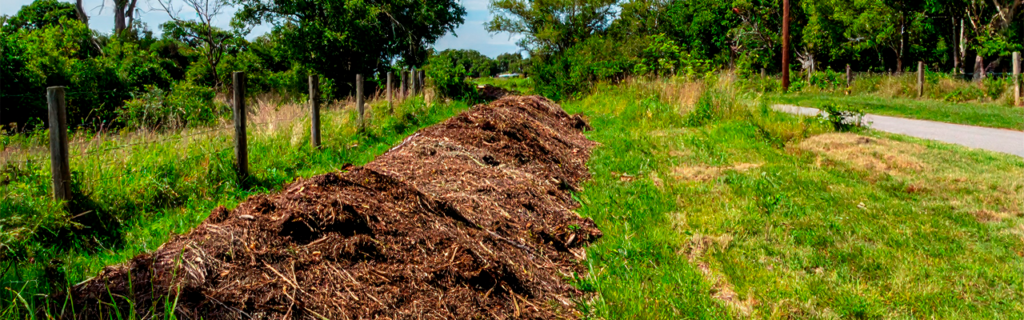 Learn how forestry mulching helps clear overgrown fence lines by removing brush, vines, and saplings while improving access and minimizing soil disturbance in North Georgia.