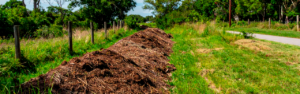 Learn how forestry mulching helps clear overgrown fence lines by removing brush, vines, and saplings while improving access and minimizing soil disturbance in North Georgia.