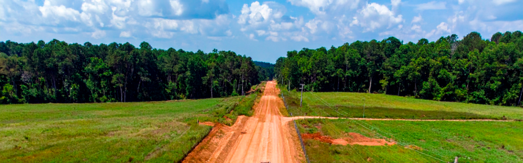 Learn how to improve rural access roads on large properties, including grading, drainage, vegetation control, and stabilization to reduce erosion and improve long-term usability in North Georgia.