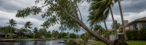 Learn why leaning trees should be evaluated before hurricane season, including warning signs, root instability, erosion risks, and storm-related tree hazards across North Georgia properties.