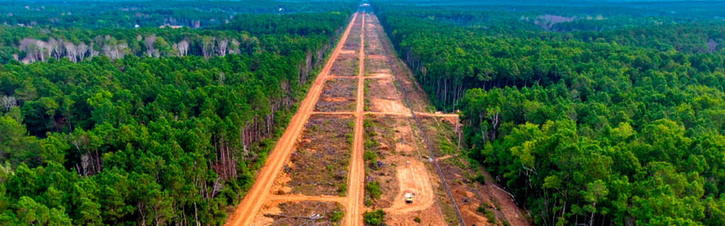 Overgrown property lines in North Georgia bury fence infrastructure and obscure survey monuments. Learn how forestry mulching clears boundary corridors efficiently in Cherokee County.