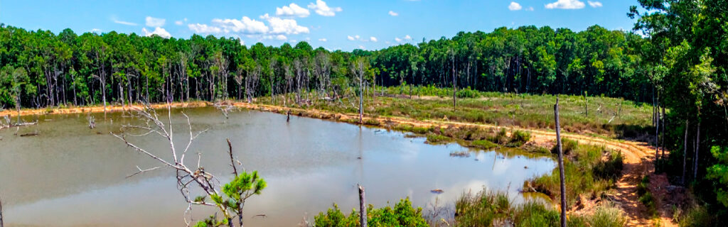Summer is when North Georgia rural properties are most honest about what they need. Learn how to evaluate overgrowth by category, document findings for contractor planning, and turn what you see into a management priority list in Cherokee County.