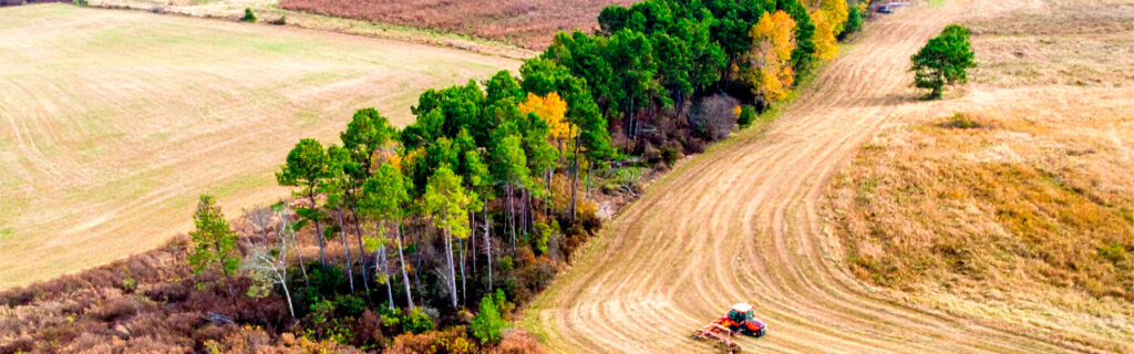 Clearing the same overgrowth every season without progress means the management approach is addressing symptoms, not causes. Learn how forestry mulching as part of a four-phase program reduces invasive species management burden in Cherokee County.