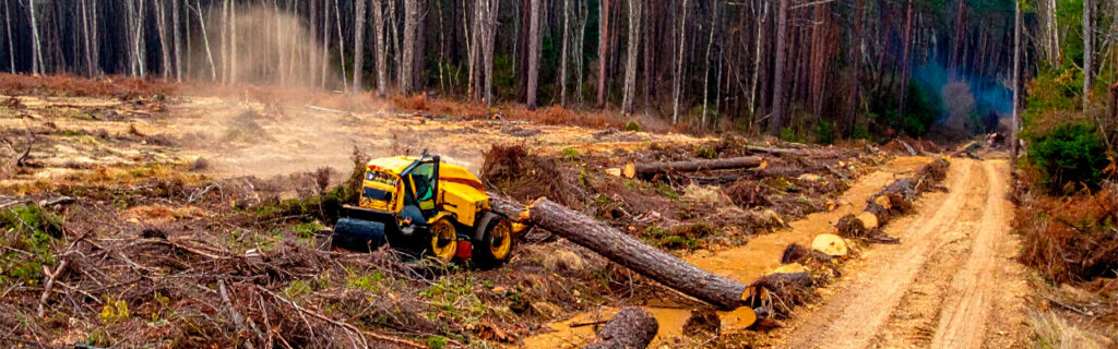 Property owners defer understory clearing because they fear it will change what they love about their wooded North Georgia land. Selective forestry mulching removes what is obscuring that character — not what defines it. Learn how in Cherokee County.