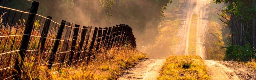 Fence lines buried in North Georgia overgrowth cannot be inspected, maintained, or repaired — and they are accumulating vegetation-driven damage with every season without management. Learn how forestry mulching restores and maintains fence corridors in Cherokee County.