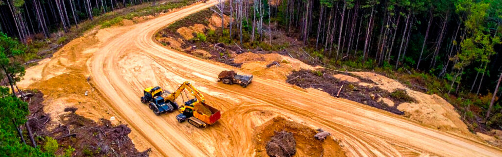 Neglected North Georgia property feels overwhelming from the edge looking in — but the land beneath the overgrowth is unchanged. Learn how forestry mulching restores access and visibility while minimizing ground disturbance in Cherokee County.