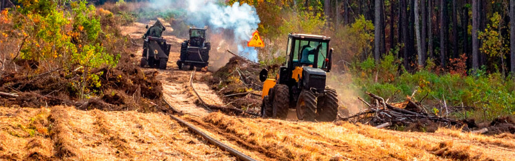 Managing invasive species on North Georgia properties improves both human usability and wildlife habitat — simultaneously. Learn how selective forestry mulching removes what limits both while preserving the native structure that productive wildlife habitat requires in Cherokee County.
