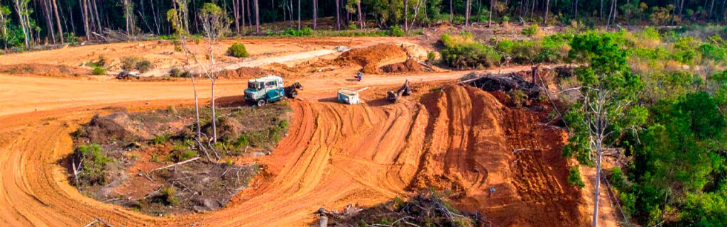 Selective clearing removes specific vegetation limiting property function while preserving what defines character and ecological value — producing outcomes neither full clearing nor no clearing can achieve. Learn when and how on North Georgia properties in Cherokee County.