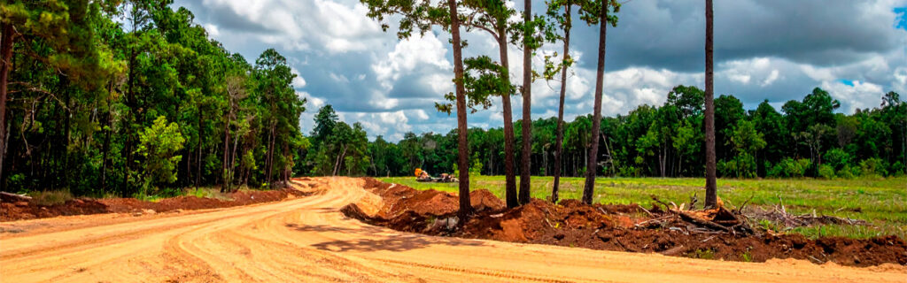 Trees identified as construction conflicts before planning is finalized are manageable design inputs. Trees discovered during active construction are reactive complications. Learn the pre-construction tree evaluation framework for North Georgia properties in Cherokee County.