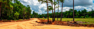 Trees identified as construction conflicts before planning is finalized are manageable design inputs. Trees discovered during active construction are reactive complications. Learn the pre-construction tree evaluation framework for North Georgia properties in Cherokee County.