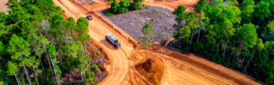 Not every North Georgia property that needs clearing needs the same kind of clearing. Learn the intended-subsequent-use framework that determines whether light clearing or full clearing is the right approach for your specific situation in Cherokee County.