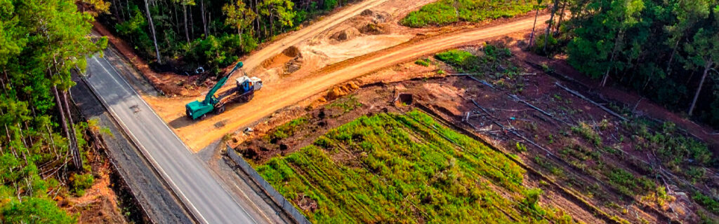 Unused North Georgia land does not stay neutral — it advances toward the overgrown condition that consistent management prevents. Learn how forestry mulching restores both the visual appearance and functional usability of overgrown Cherokee County properties.