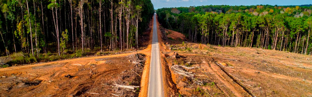 Tree removal during clearing is permanent in one direction. Deliberate preservation is permanent in the right one. Learn the tree preservation planning framework for North Georgia clearing projects in Cherokee County.