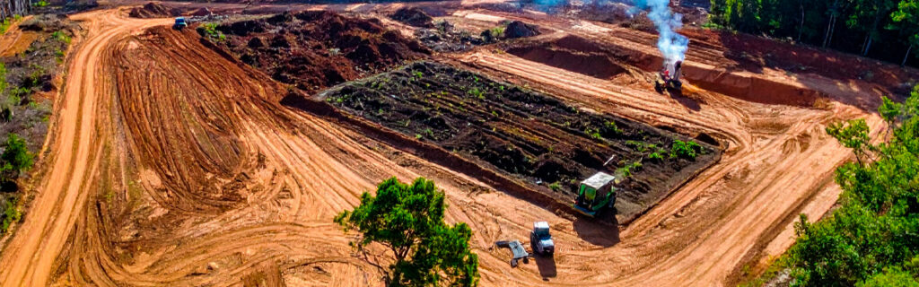 Restoring neglected North Georgia land without further compromising the soil and native plant community that productive future use depends on requires a method that addresses what is above the ground without disturbing what is below it. Learn how forestry mulching achieves this in Cherokee County.