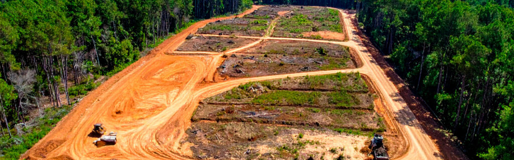 Every North Georgia rural property has sections the owner pays taxes on but never uses because vegetation has advanced to the density that makes entry uninviting and management impossible. Learn how forestry mulching reclaims those sections in Cherokee County.