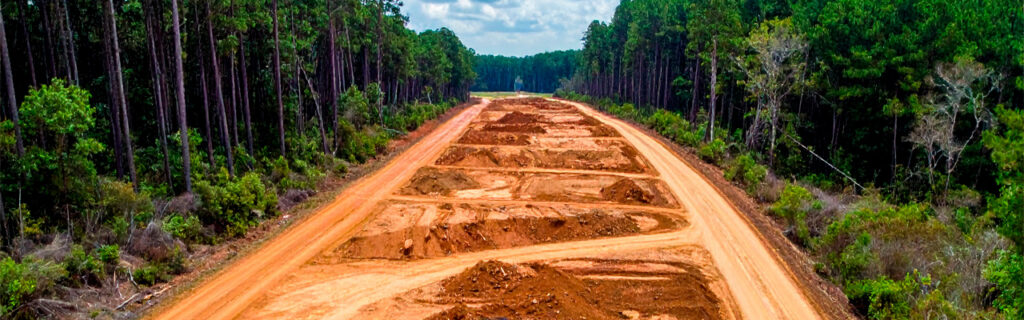 Hard-to-reach North Georgia property sections are inaccessible not because of distance but because of the dense vegetation between them and the nearest accessible point. Learn how forestry mulching converts that barrier into accessible open ground in Cherokee County.