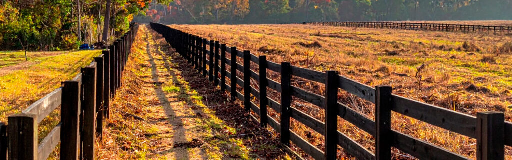 A fence line that cannot be walked cannot be managed — and undetected damage compounds every season vegetation prevents access. Learn how forestry mulching restores fence line corridor access and maintains it on North Georgia rural properties in Cherokee County.