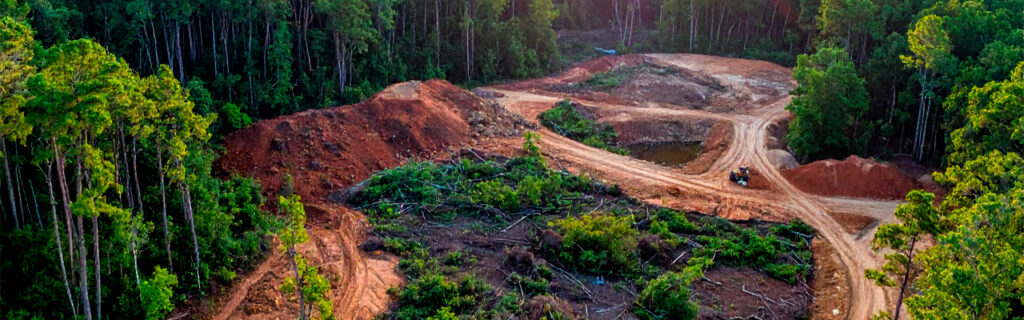 Clearing a wooded North Georgia lot involves dense invasive understory, deep root mass, concealed uneven terrain, and limited access that generic clearing planning consistently underestimates. Learn what adequate local planning requires in Cherokee County.