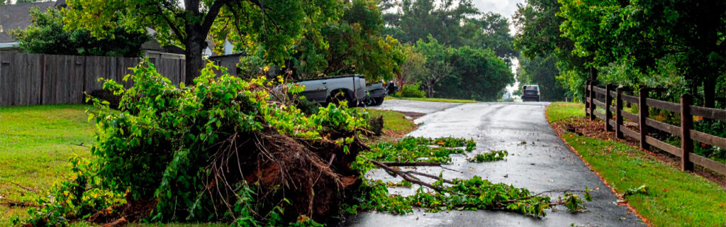 The tree that falls across the primary driveway is an access emergency. The tree that falls on the back fence is a maintenance inconvenience. The difference is position — not structural condition. Learn why high-consequence position trees deserve priority monitoring in Cherokee County.