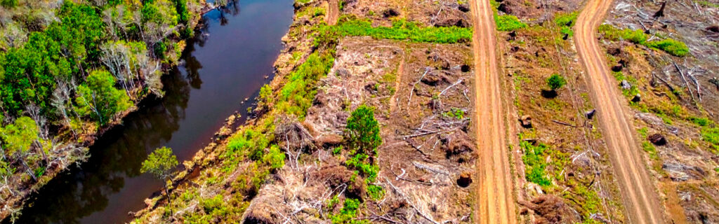 Overgrown Cherokee County property sections are land progressively withdrawn from usable inventory by seasons of invasive accumulation. Learn how forestry mulching converts them back to functional accessible property in Cherokee County.