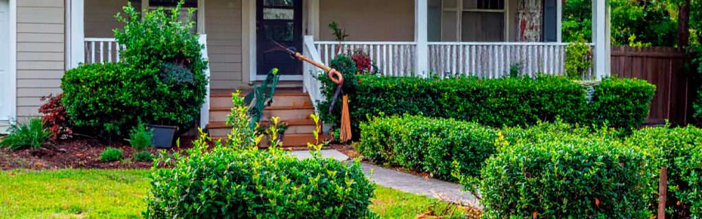 The brush management problem on North Georgia properties starts with knee-high privet seedlings that modest effort addresses — and becomes professional clearing scale after three to five seasons of deferral. Learn why earlier intervention is always more cost-efficient in Cherokee County.