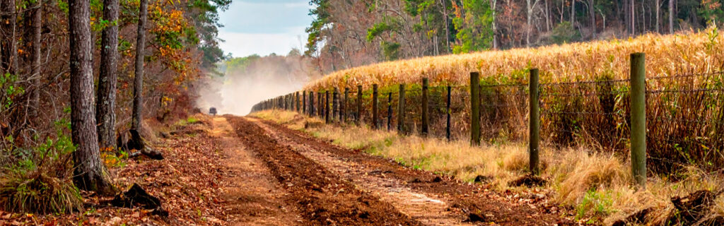 Overgrown property boundaries on North Georgia rural lots have legal existence but no practical utility — and forestry mulching restores visibility, access, and fence infrastructure maintenance capability along those corridors. Learn the boundary restoration framework in Cherokee County.