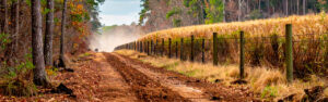 Overgrown property boundaries on North Georgia rural lots have legal existence but no practical utility — and forestry mulching restores visibility, access, and fence infrastructure maintenance capability along those corridors. Learn the boundary restoration framework in Cherokee County.