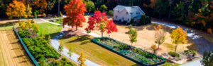 The weeks before fall arrives on a North Georgia property are the most productive annual window for improvement planning — full growing season conditions visible, contractor scheduling accessible, preliminary work time available. Learn the pre-fall planning framework for Cherokee County properties.