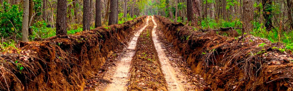 Property edges and wooded transitions on North Georgia properties consistently develop advancing invasive fronts that reduce managed area and create difficult-to-manage middle zones. Learn why forestry mulching specifically addresses this edge management challenge in Cherokee County.