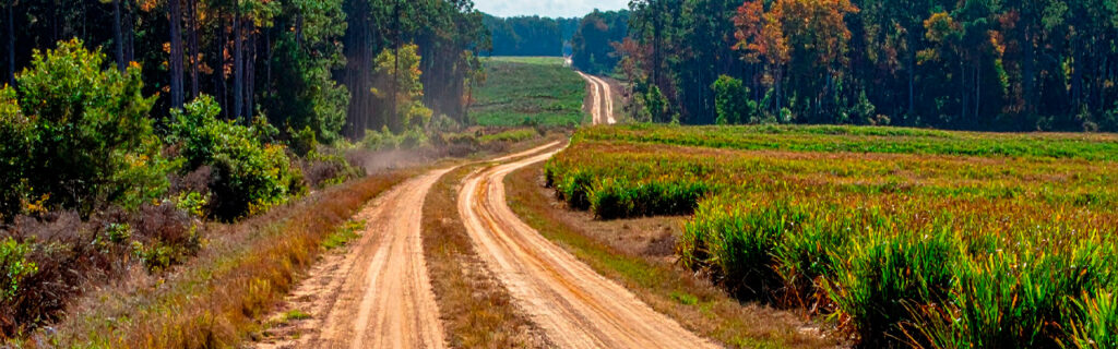 September combines full growing-season condition completeness, native species identification accuracy, contractor scheduling access, and active herbicide treatment efficiency in a combination no other month provides. Learn the September property evaluation framework for North Georgia landowners in Cherokee County.