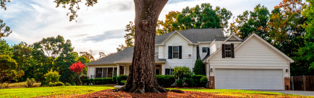 Late summer's peak foliage contrast, post-summer storm assessment focus, and pre-fall response availability together make the post-summer tree inspection the most productive timing for the specific condition categories it targets. Learn the inspection framework for North Georgia homes in Cherokee County.