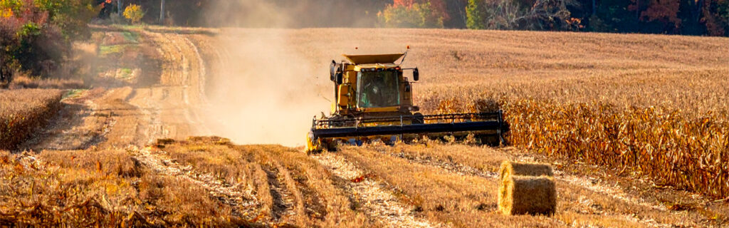 The pre-fall weeks on Cherokee County properties combine full-season condition completeness, active growing-season identification accuracy, and fall contractor scheduling access in a combination no other timing provides. Learn the comprehensive pre-fall evaluation framework for Cherokee County landowners.