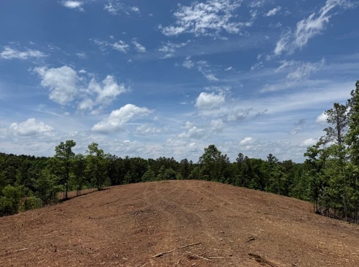Forestry mulching service by Bardin Outdoors