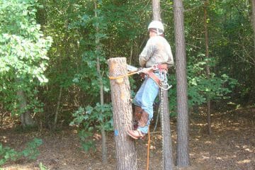 Bardin Outdoors Landscape Services